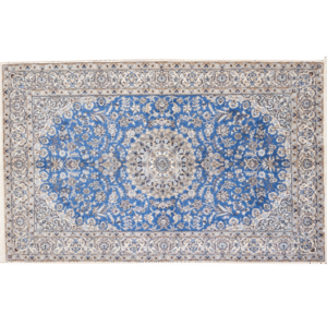 IR-NAIN 9L 257x165